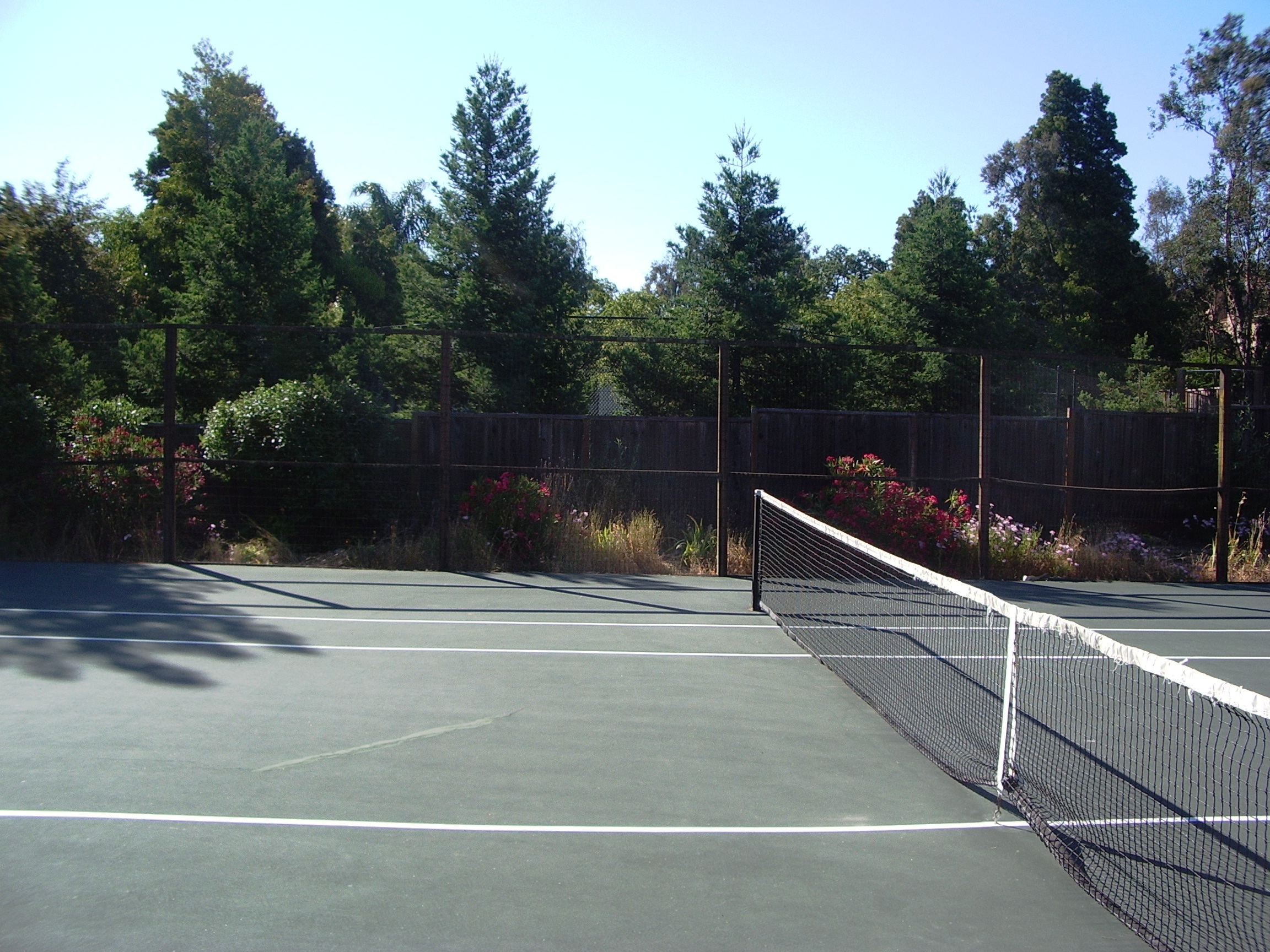 Looking around the tennis court.