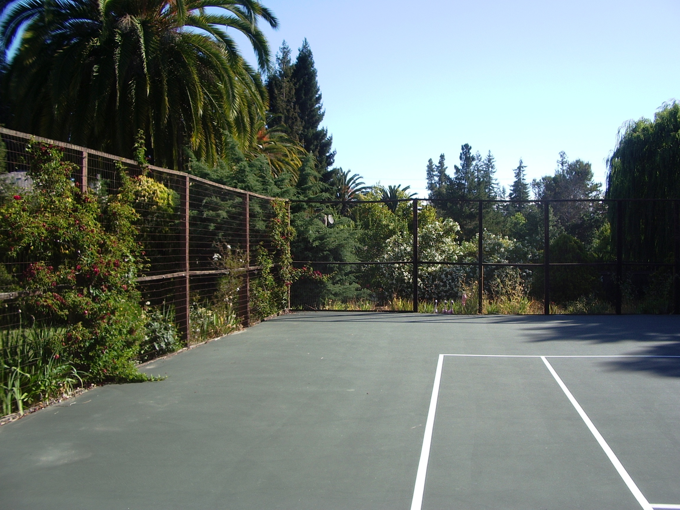 Looking around the tennis court.