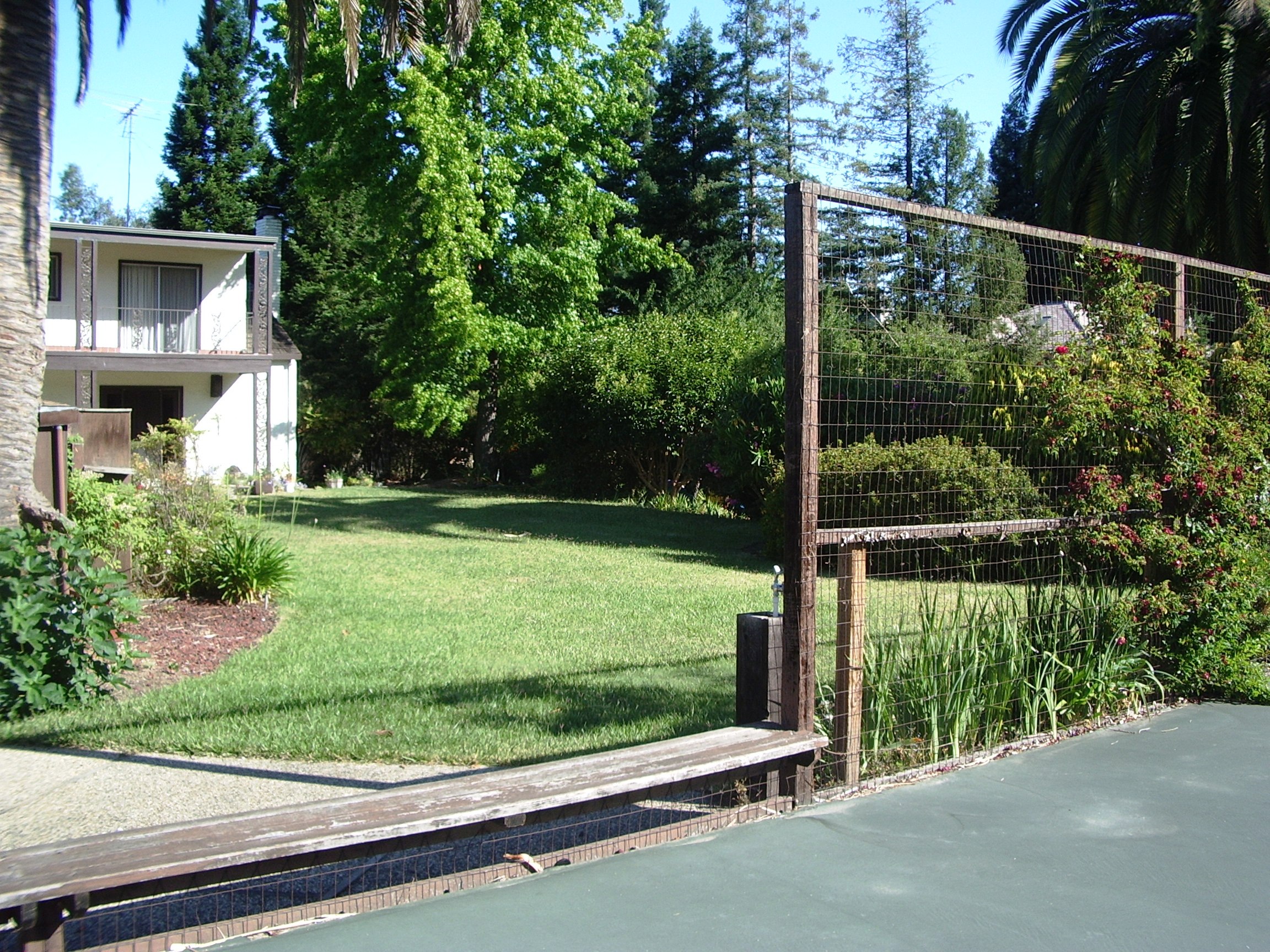 Looking around the tennis court.