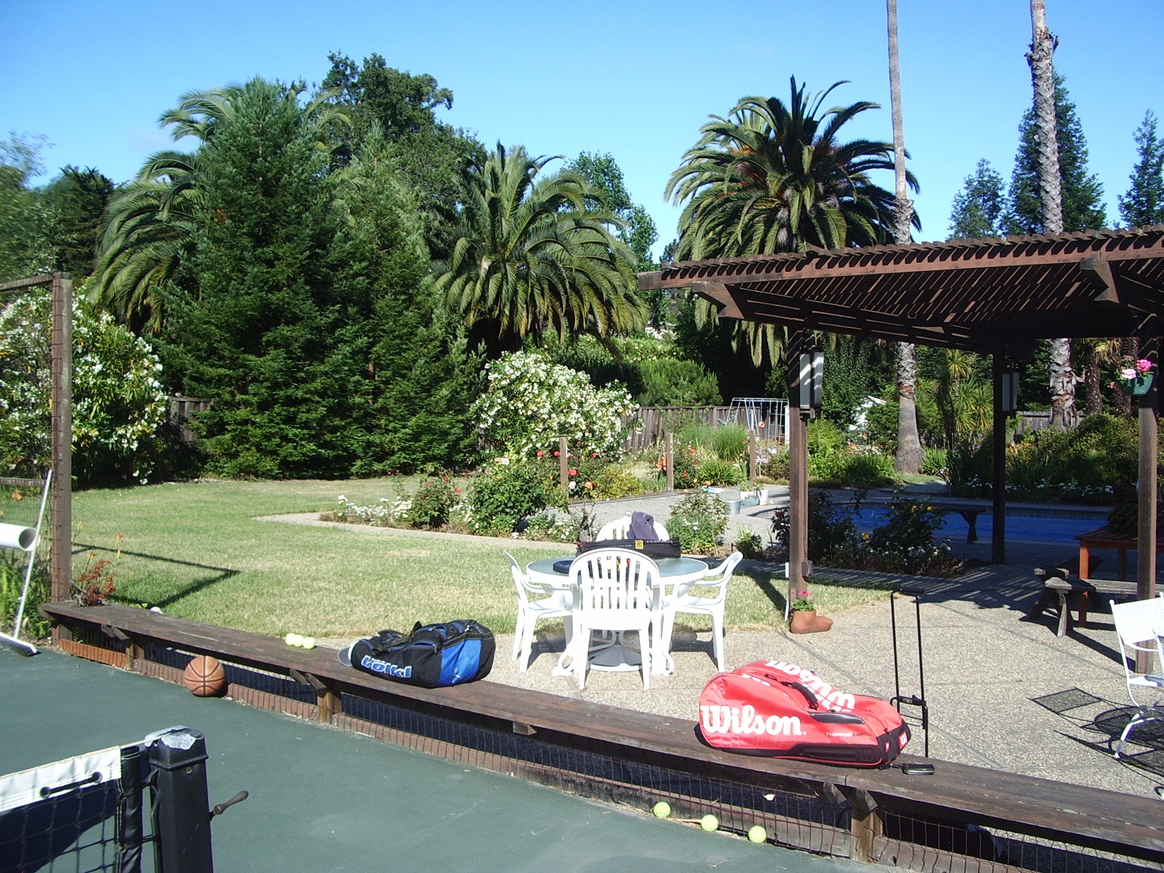 Looking around the tennis court.